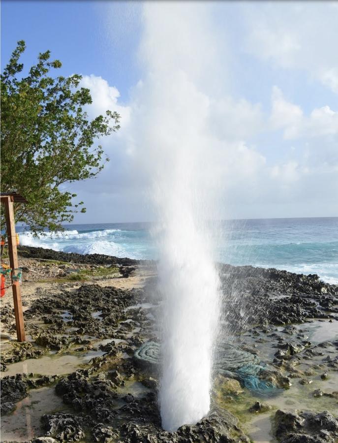 Posada Amiel Forbes 2 San Andrés Kültér fotó